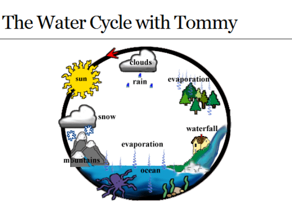 Webquest: The water cycle | Recurso educativo 34379