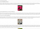 Endemismos vegetales | Recurso educativo 34596