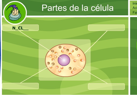 Las partes de la célula | Recurso educativo 35639