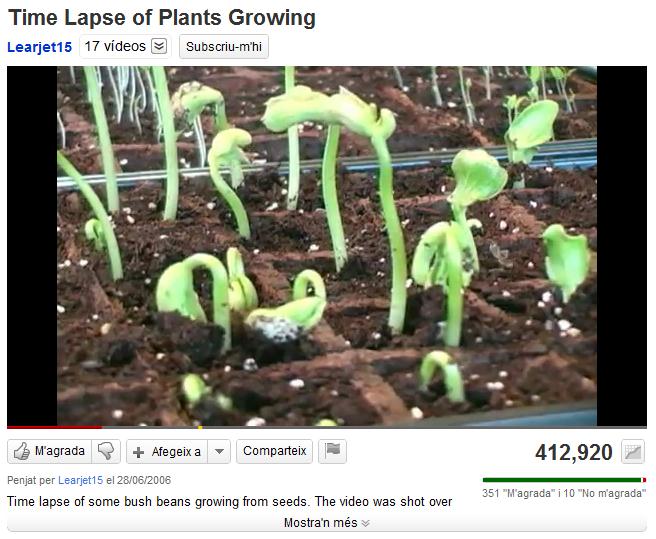Crecimiento de una planta | Recurso educativo 40922