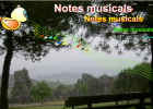Notes musicals | Recurso educativo 42298