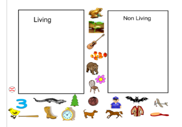 Living and non-living things | Recurso educativo 45325
