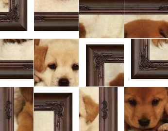 Puzzle interactivo: perritos | Recurso educativo 50672