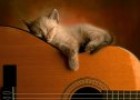 Gato y guitarra | Recurso educativo 51341