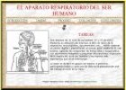 El aparato respiratorio del ser humano | Recurso educativo 52296