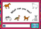 What can you see? | Recurso educativo 53601