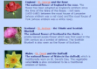 Symbols of England, Scotland and Wales | Recurso educativo 55596