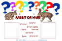 Rabbit or hare? | Recurso educativo 55678