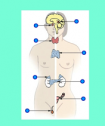 Quiz: Endocrine system | Recurso educativo 60069