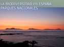 La biodiversidad en España: Parques Nacionales | Recurso educativo 61390