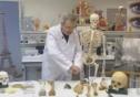 Vídeo: Esqueleto Humano | Recurso educativo 11968