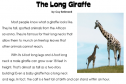 The Long Giraffe | Recurso educativo 12853