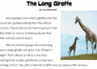 The Long Giraffe | Recurso educativo 12853