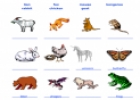 Name that animal | Recurso educativo 13467