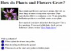 How plants grow | Recurso educativo 26557