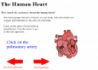 The human heart | Recurso educativo 26677