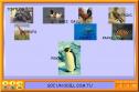 Els pingüins | Recurso educativo 2879