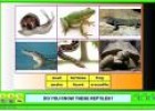 Wild animals | Recurso educativo 3028