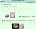Las propiedades de los minerales | Recurso educativo 8998