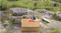 Video: The adventures of a cardboard box | Recurso educativo 63475
