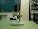 El microscopio y la lupa binocular | Recurso educativo 66206