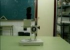 El microscopio y la lupa binocular | Recurso educativo 66206