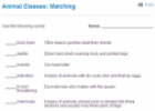 Animal classes: Matching | Recurso educativo 69915