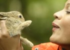 Happy Bunny | Recurso educativo 71292