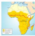 África: región subsahariana | Recurso educativo 73884