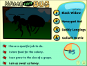 Name that bug | Recurso educativo 75099