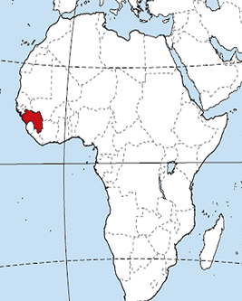 Guinea | Recurso educativo 75448