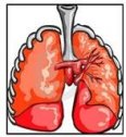 Pruebas para el diagnóstico de las enfermedades del aparato respiratorio | Recurso educativo 76231