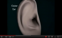 Video: Ears | Recurso educativo 77393