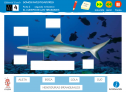 Somos investigadores: El cuerpo de los tiburones | Recurso educativo 79294