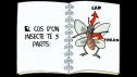 Els insectes | Recurso educativo 85360