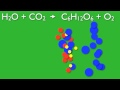 What is Photosynthesis | Recurso educativo 91927