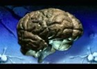 Psicología General - Sistema Nervioso - Neuronas - Impulso Nervioso - | Recurso educativo 94948