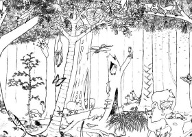 Imagen: dibujo de bosque | Recurso educativo 86341