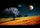 Fill in the gaps con la canción Shadow Of The Moon de Blackmore's Night | Recurso educativo 122787