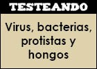 Virus, bacterias, protistas y hongos | Recurso educativo 350665