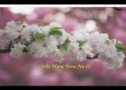 Akai Hana Shiroi Hana | Recurso educativo 410527