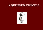 Los insectos | Recurso educativo 724822