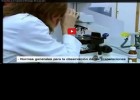 Tècniques Bàsiques en el Laboratori de Microbiologia. Microscopi òptic | Recurso educativo 727681