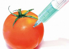 Genetically Modified Foods | Recurso educativo 730698