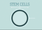 What are stem cells? - Craig A. Kohn | Recurso educativo 733909