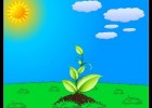 La fotosíntesis | Recurso educativo 735298