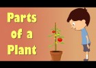 Parts of a Plant | Recurso educativo 737905