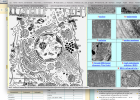 cell and organelles electron microscopic atlas | Recurso educativo 738016