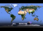 World Population | Recurso educativo 739480