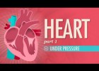 The Heart | Recurso educativo 746940